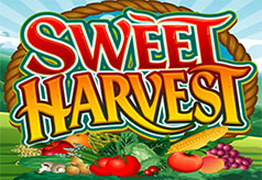 Sweet Harvest