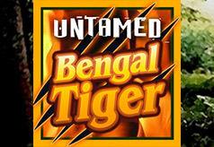 Untamed Bengal Tiger