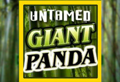 Untamed Giant Panda