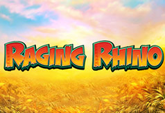 Raging Rhino