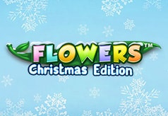 Flowers Christmas Edition™