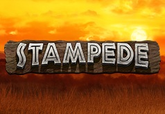 Stampede