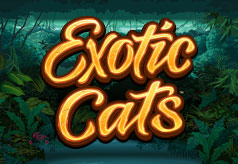 Exotic Cats