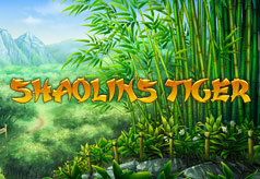 Shaolin’s Tiger