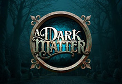 A Dark Matter