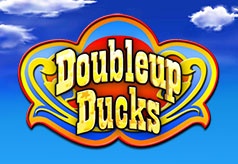Doubleup Ducks