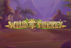 Wild Turkey