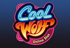 Cool Wolf