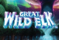 Great Wild Elk