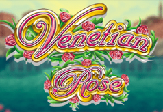 Venetian Rose
