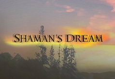 Shaman’s Dream