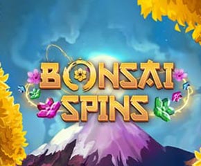 Bonsai Spin’s