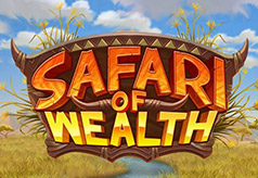 Safari of Wealth