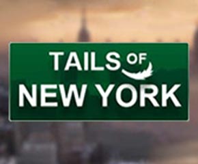 Tails of New York