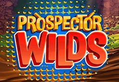 Prospector Wilds